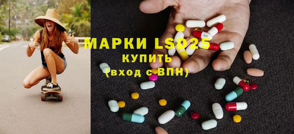 PSILOCYBIN Беломорск