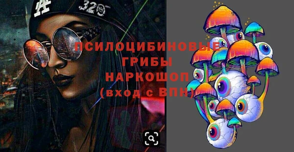 PSILOCYBIN Беломорск