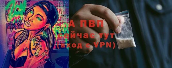 PSILOCYBIN Беломорск
